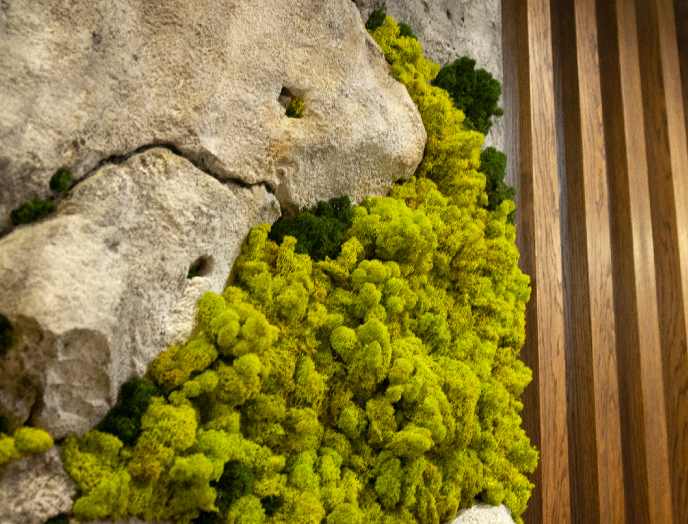 "Андезит со 
стабилизированным мхом"