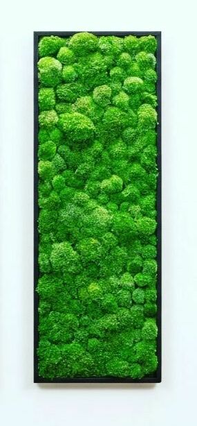 Мох на сетке "Прямоугольный"        в рамке черного цвета