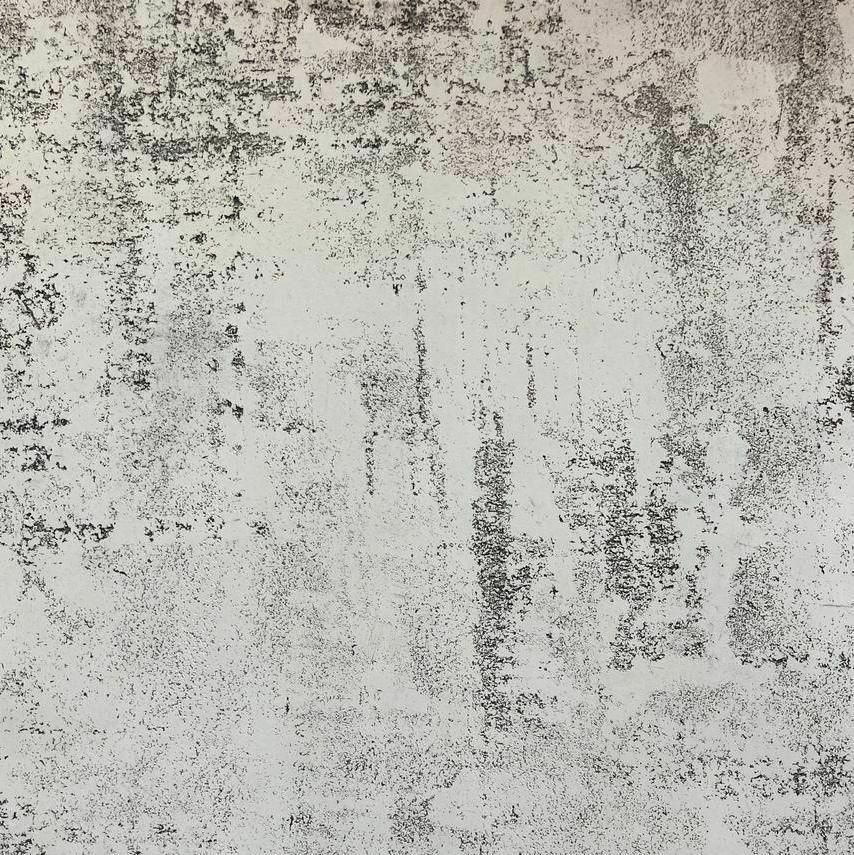 "Модена" 15 кг.