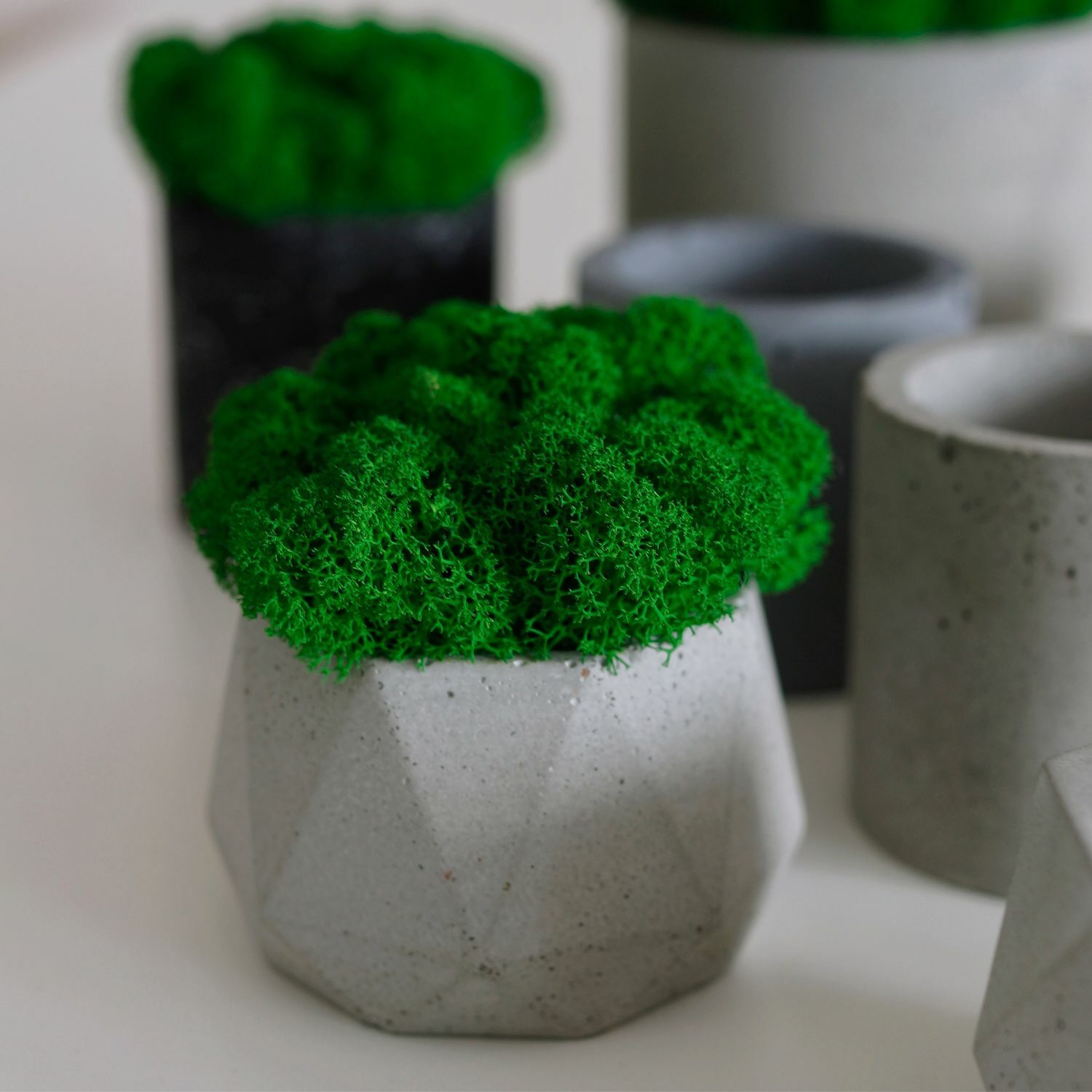 Набор кашпо со стабилизированным мхом 3 шт.